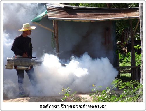 ป้องกันไข้เลือดออก‏ 